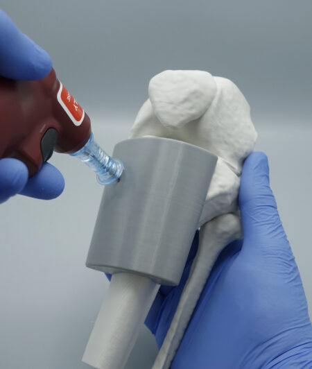 Practice Bone Models | Proximal Tibia